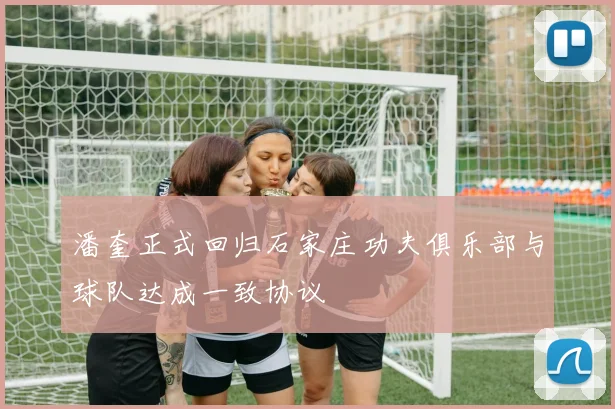 潘奎正式回归石家庄功夫俱乐部与球队达成一致协议