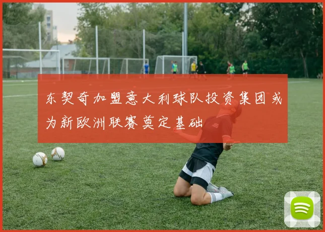东契奇加盟意大利球队投资集团或为新欧洲联赛奠定基础