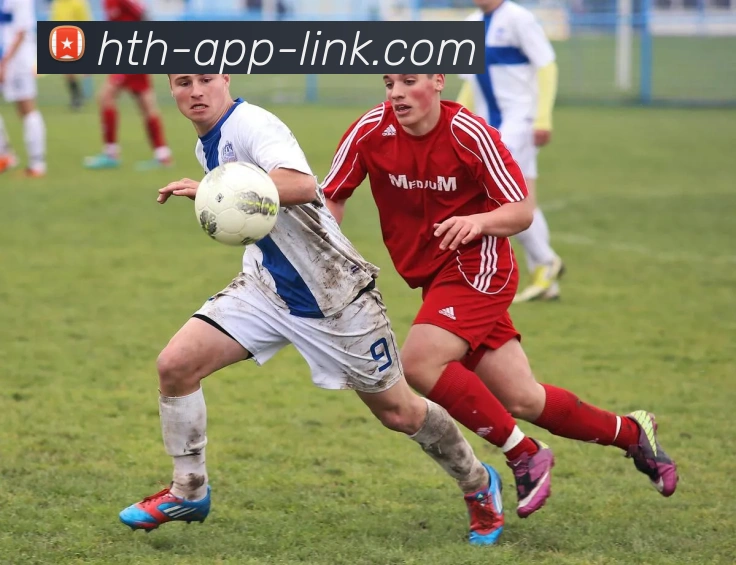 华体会平台生态图